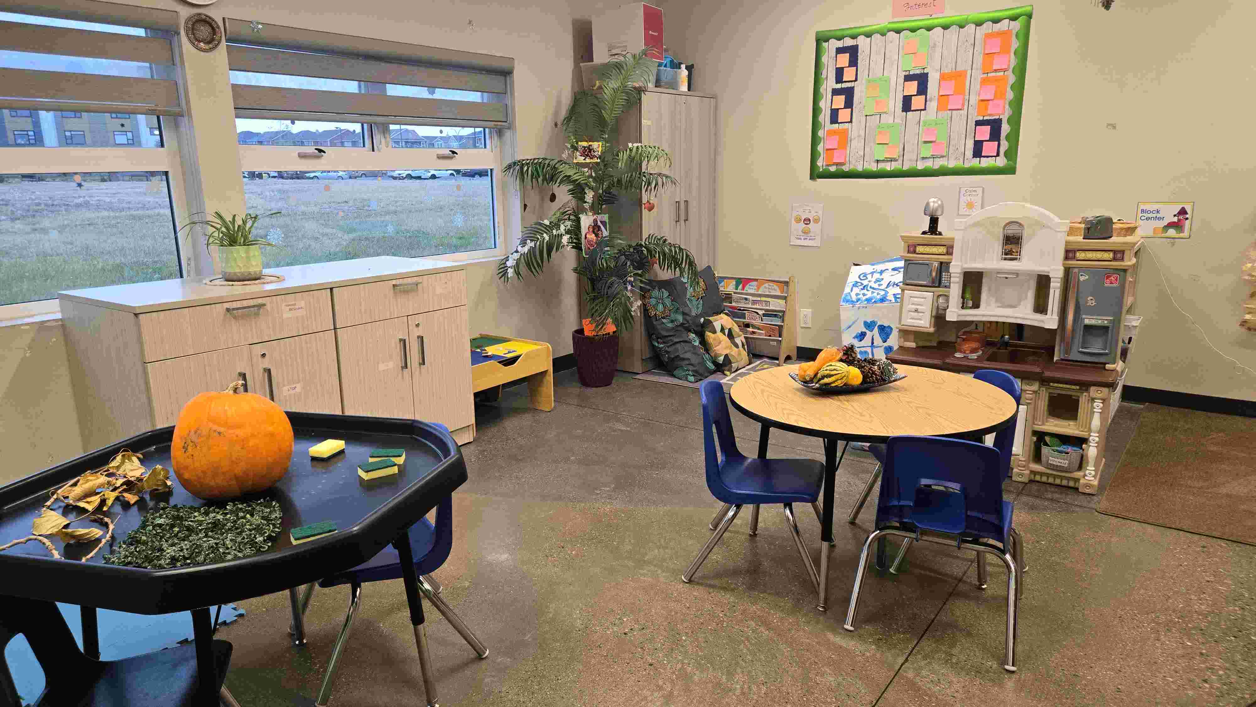 Treasure Seeds moment